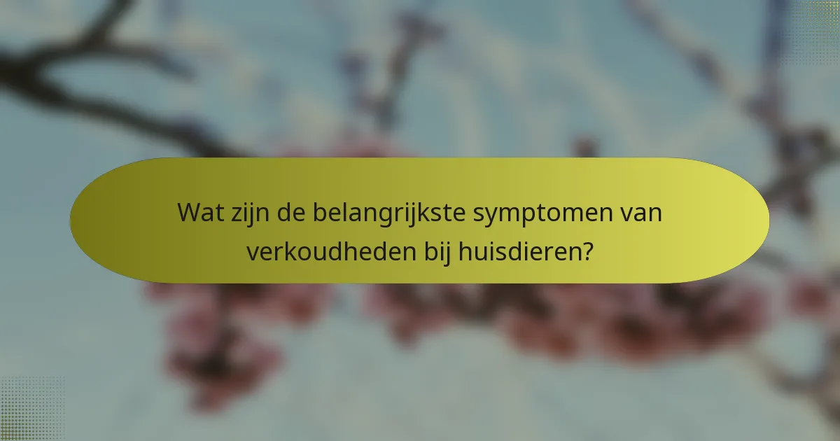 Wat zijn de belangrijkste symptomen van verkoudheden bij huisdieren?